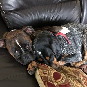 Meet your Posher, Rochelle